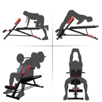 Soozier Multi-Functional Adjustable Hyper Extension Dumbbell Bench(m-6)