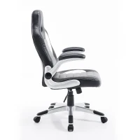 HOMCOM Racing Car Office Chair Swivel Excutive Computer Gaming Office Chair with Adjustable Armrest (Grey)(m-4)