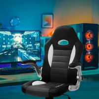 HOMCOM Racing Car Office Chair Swivel Excutive Computer Gaming Office Chair with Adjustable Armrest (Grey)(m-1)