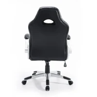 HOMCOM Racing Car Office Chair Swivel Excutive Computer Gaming Office Chair with Adjustable Armrest (Grey)(m-5)