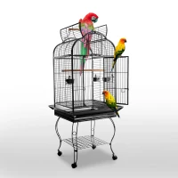 PawHut Large Bird Cage 63-inch Large Bird Parrot Cage Open Play Top(m-2)