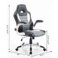 HOMCOM Racing Car Office Chair Swivel Excutive Computer Gaming Office Chair with Adjustable Armrest (Grey)(m-3)