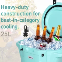 Outsunny Cute Cooler Box 25L Cooling Box Outdoor Portable Green(m-6)
