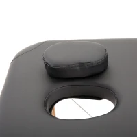 HOMCOM Portable Massage Table Massage Bed Couch Beauty Bed 2 Section Lightweight Portable Black(m-10)