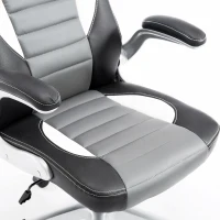 HOMCOM Racing Car Office Chair Swivel Excutive Computer Gaming Office Chair with Adjustable Armrest (Grey)(m-7)
