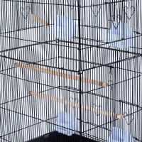 PawHut Budgie Cage 63" Rolling Bird Cage Macaw Cockatoo House Parrot Play Top Finch Pet Supply with Wheels Black(m-9)