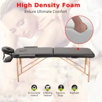 HOMCOM Portable Massage Table Massage Bed Couch Beauty Bed 2 Section Lightweight Portable Black(m-4)