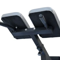 Soozier 45 Degree Hyperextension Home Gym Heavy Duty Full-Body Workout Exercise Bench(m-6)