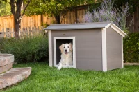 New Age Pet Thermocore Canine Cabin Dog House - Grey(m-2)