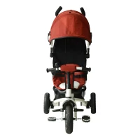 Qaba 2-in-1 Lightweight Steel Adjustable Convertible Tricycle Stroller - Red(m-6)