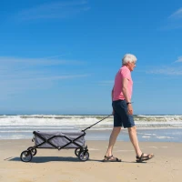 Garden Utility Cart Aosom Beach Wagon Cart Heavy Duty Collapsible All Terrain Beach Cart 265lbs Capacity Grey(m-5)