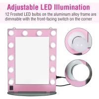 HOMCOM 20" x 26" Aluminum Alloy 26” Dimmable Illuminated Hollywood Style Vanity Mirror Mounted Home with 12 LED Bulbs - Pink(m-4)