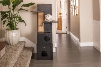 New Age Pet Kitty Klimber - Espresso(m-2)