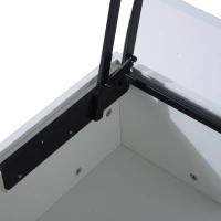 HomCom 43" Modern Lift Top Coffee Table with Hidden Storage - Matte White(m-9)