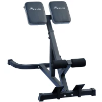 Soozier 45 Degree Hyperextension Home Gym Heavy Duty Full-Body Workout Exercise Bench(m-1)
