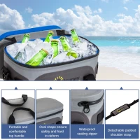 Outsunny 20 Quart Waterproof Portable Insulated Soft Sided Cooler Picnic Tote Bag - Grey(m-6)