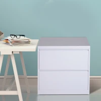 Vinsetto 2 Drawer File Cabinet Metal Storage Chest Home Office - White(m-2)