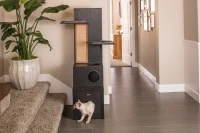 New Age Pet Kitty Klimber - Espresso(m-8)