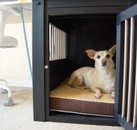 Dog Cushion w/Removeable Cover - Large(m-2)