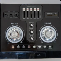 HomCom 37" Portable Remote Control Indoor Outdoor Bluetooth Capable Dual Speaker Stereo with Wheels(m-11)