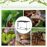 PawHut 14 Gallon Reptile Glass Terrarium Tank, Breeding Box Full View with Visually Appealing Sliding Screen Top for Lizards, Frogs, Snakes, Spiders, 20" x 12" x 14"(m-8)