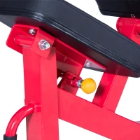 Soozier Ten-Position Adjustable Home Fitness Upper Body Weight Bench(m-8)