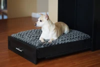 New Age Pet Murphy Bed with Memory Foam Cushion - Espresso(m-9)