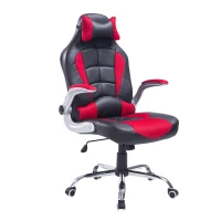 HomCom High Back Racing Style Ergonomic Gaming Chair With Armrest, Lumbar And Head Support - Red / Black(m-1)