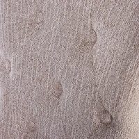 HOMCOM Set of 2 Modern Style Dining Chair Set with Button Tufting Fabric Beige(m-7)