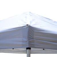 Outsunny 10' x 10' Easy Set Pop Up Canopy Tent Cover with Slanted Legs and Carrying Bag - White(m-3)