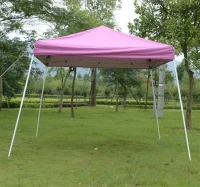 Outsunny 10' x 10' Slant Leg Easy Pop-Up Canopy Party Tent - Pink(m-2)