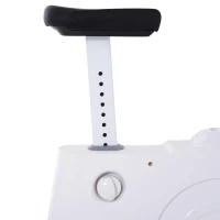 Soozier 2-in-1 Stationary Exercise Bike and Tabletop Workstation with LCD Monitor  White(m-9)