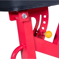 Soozier Ten-Position Adjustable Home Fitness Upper Body Weight Bench(m-7)