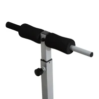 Soozier Adjustable Roman Chair Hyperextension Bench  - Gray/Black(m-5)