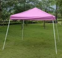 Outsunny 10' x 10' Slant Leg Easy Pop-Up Canopy Party Tent - Pink(m-3)
