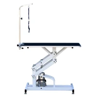 Pawhut 42.5" x 23.6" Height Adjustable Z-Lift Hydraulic Pet Dog Cat Grooming Table w/ Arm and Noose(m-9)