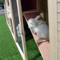 PawHut 83" Wooden Two Story Outdoor Deluxe XL Rabbit Bunny House Hutch Pet Cage(m-12)