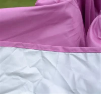 Outsunny 10' x 10' Slant Leg Easy Pop-Up Canopy Party Tent - Pink(m-7)