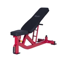 Soozier Ten-Position Adjustable Home Fitness Upper Body Weight Bench(m-1)