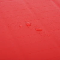 Soozier 6'x4' Roll Out Cheer Tumbling / Wrestling Mat - Red(m-9)