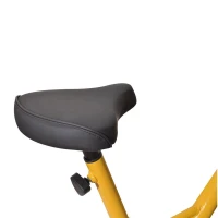 Soozier Upright Stationary Exercise Bike with LCD Monitor - Yellow(m-4)