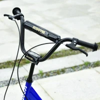 Aosom Scooter for 6 Year Old Youth Kick Scooter Adjustable Handlebar Teens Ride On Toy For 5+ w/ Front and Rear Dual Brakes Inflatable Wheels(m-5)