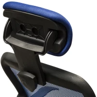 HomCom Adjustable Mesh High Back Computer Desk Office Task Chair w/ Headrest - Blue(m-8)