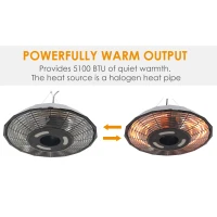 Outsunny 1500 Watt Energy Efficient Indoor Outdoor Ceiling Mounted Electric Patio Heater with Remote - Black(m-5)