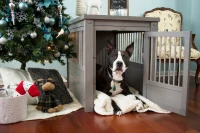 New Age Pet  InnPlace Dog Crate - Grey Large(m-2)