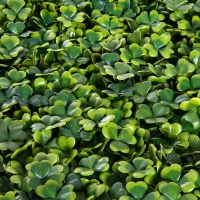 Outsunny 20"x 20" 12 Piece Artificial Boxwood Hedge Mat Panels Outdoor Patio - Clover(m-7)