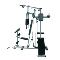 Soozier Versatile Steel Full Body Home Gym Exercise Equipment Machine with 100lb Weight Stack(m-3)