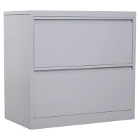 Vinsetto 2 Drawer File Cabinet Metal Storage Chest Home Office - Grey(m-1)