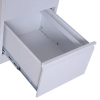 Vinsetto 28" Metal 2 Drawer Vertical Locking Office Filing Cabinet - White(m-12)