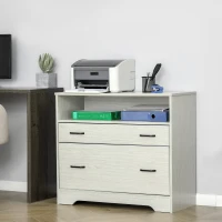 Vinsetto Lateral File Cabinet with Shelf, Office Storage Cabinet with 2 Drawers, Fits Letter Sized Papers, Grey(m-7)